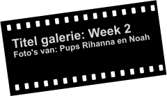 Titel galerie: Week 2 Foto's van: Pups Rihanna en Noah