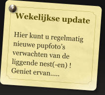 Wekelijkse update  Hier kunt u regelmatig nieuwe pupfoto�s verwachten van de liggende nest(-en) !  Geniet ervan�..